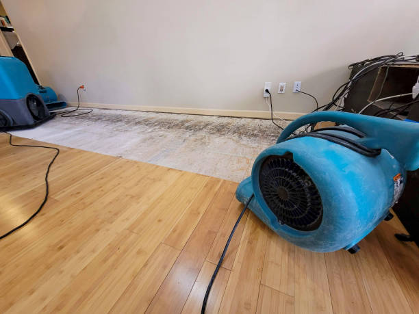 Professional Basement Flood Cleanup technician working in Clackamas, OR